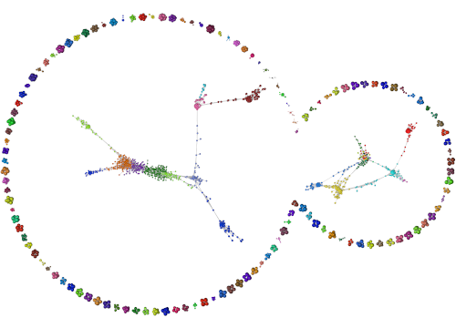 Mouse single cell data